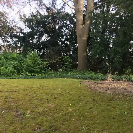 Cosyrouen Jouvenet